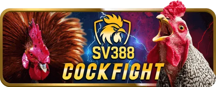 Xác Minh Thông Tin z88 bet